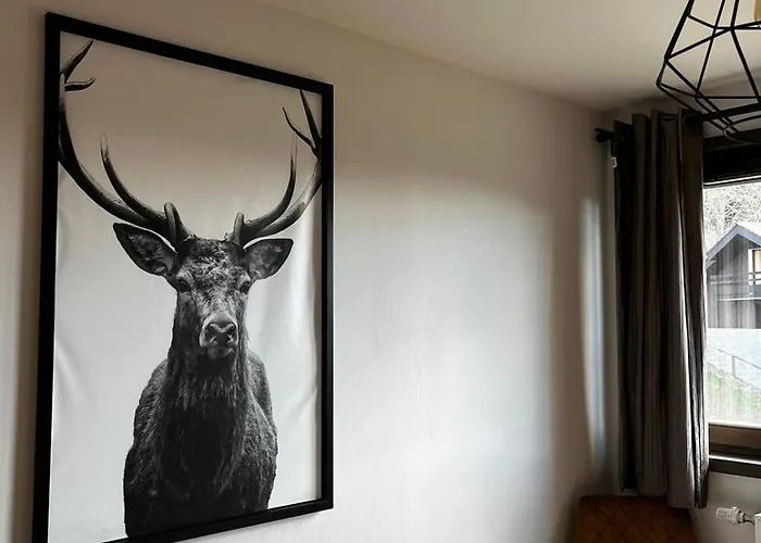 Martin Belle-vue * La Plagne