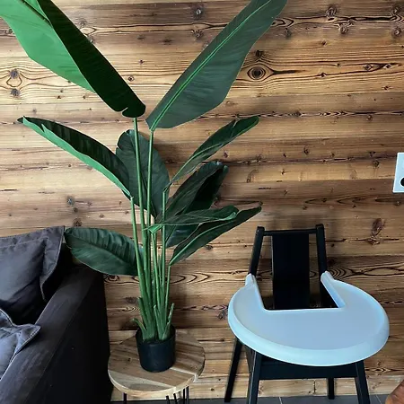 Martin Belle-vue * La Plagne