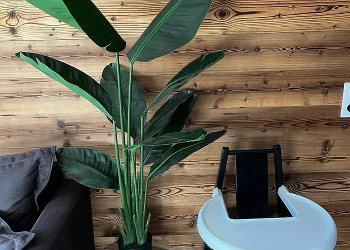 Martin Belle-vue * 拉普拉涅